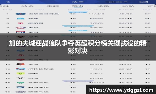 加的夫城迎战狼队争夺英超积分榜关键战役的精彩对决